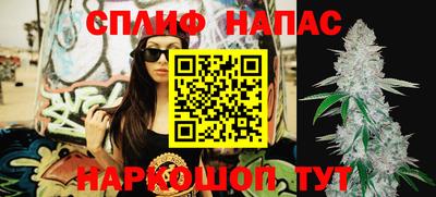 МДПВ Кунгур