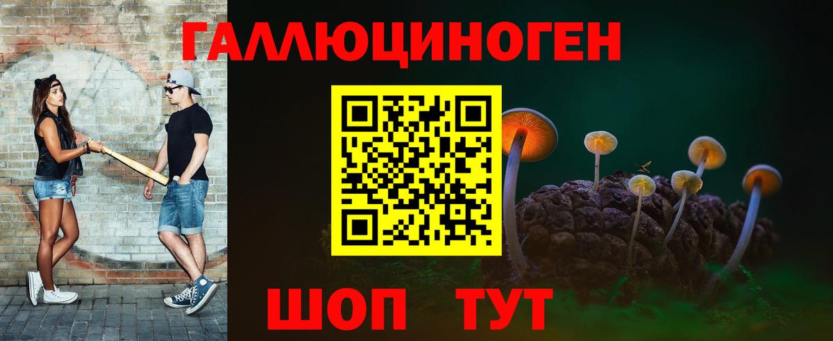 Галлюциногенные грибы MAGIC MUSHROOMS  Вход с VPN  Галлюциногенные грибы Cubensis  Чита 